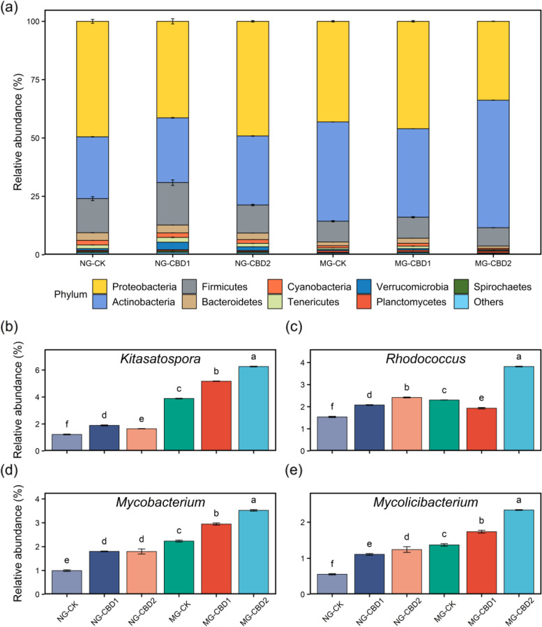 Composition of microbiota at phylum level (a) and relative abundance of the genera belonging to Actinobacteria (b) with significant differences in the earthworm gut among treatments. NG-CK, NG-CBD1, and NG-CBD2 represent the earthworm gut samples in the un-manured soil with 0, 1.0, and 2.0 mg kg−1 CBD, respectively. MG-CK, MG-CBD1, and MG-CBD2 represent the earthworm gut samples in the manured soil with 0, 1.0, and 2.0 mg kg−1 CBD, respectively