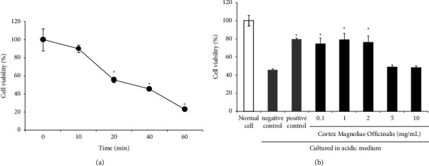 Cell viability of RGM 1 cells. (a) The time course of RGM 1 cell incubation in the acidic medium to induce cell damage. Cells were cultured in normal medium (pH 7.4) for 2 h and acidic medium (pH 4.0). (b) RGM 1 cells were pretreated with 100 μL of various concentrations (0.1, 1, 2, 5, and 10 mg/mL) of Magnolia officinalis water extract or sucralfate (3 mg/mL) as the positive control and cultured in normal medium for 2 h and acidic medium for 40 min. Data are presented as a relative percentage versus the mean of the control group (100%) and the mean ± S.E. from three independent experiments. ∗p < 0.05 vs. negative control.