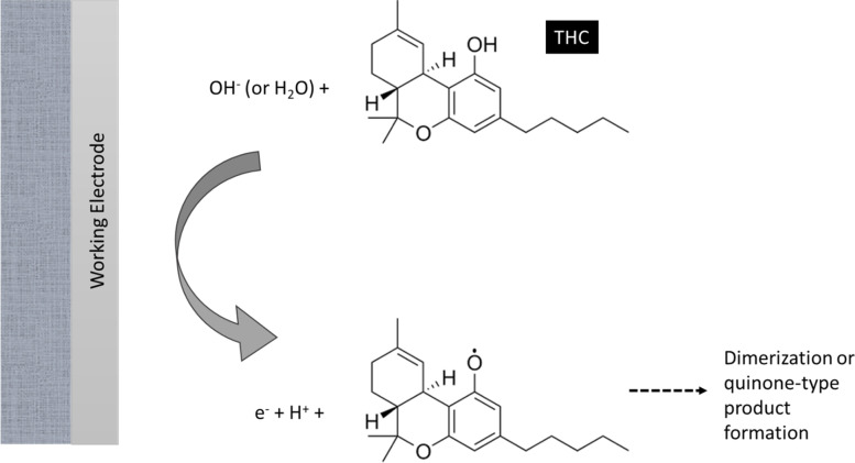 Mechanism of detection of THC on an electrochemical sensor. The illustrated mechanism is according to (Renaud-Young et al. 2019)