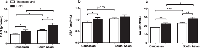 Circulating endocannabinoid levels are higher in South Asians and increased after short-term cooling. Blood was collected from healthy young South Asian (n = 10) and matched white Caucasian (n = 10) individuals before (thermoneutral) and after short-term mild cooling (Cold). Liquid chromatography coupled with tandem mass spectrometry (LC-MS/MS) was used to measure plasma concentrations of 2-AG (a), AEA (b), and AA (c) concentrations. Values are mean ± SEM. *P < 0.05, **P < 0.01, ***P < 0.001. P-values are based on paired t-tests (effect of cold) or unpaired t-tests (effect of ethnicity).