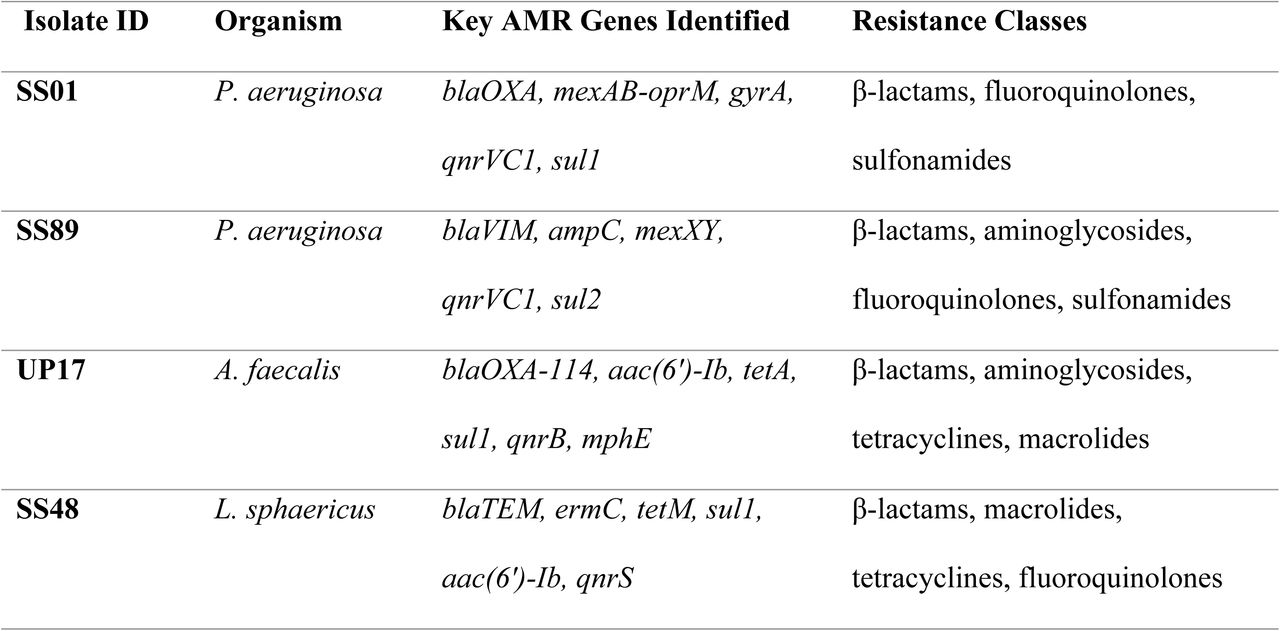Predicted AMR genes per isolate, with database confirmation