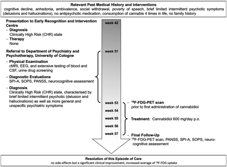 Timeline of important events and examinations in the patient’s history and individual treatment.
