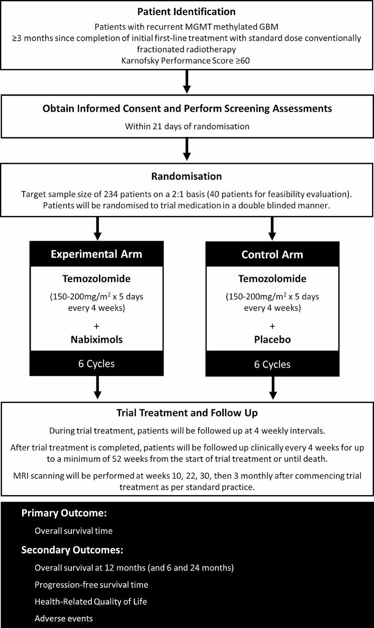 ARISTOCRAT trial schemaOverview of ARISTOCRAT trialGBM: Glioblastoma; MGMT: O6-Methylguanine-DNA-methyltransferase