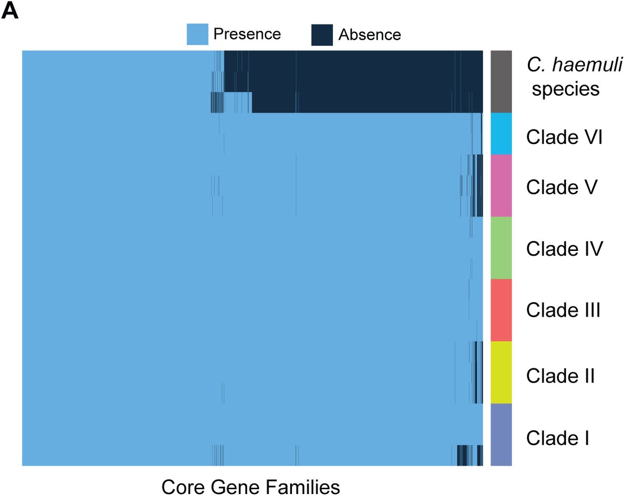 C. auris core genome compared to C. haemuli.a, Results of a pangenome generated using 703 genomes from all six clades of C. auris, as well as reference genomes for Candida haemuli, Candida duohaemuli, and Candida pseudohaemuli. For each clade, 2-3 representative isolates are shown, prioritizing the highest-quality assemblies when possible. Only gene families categorized as core (present in >95% of isolates) are shown on the heatmap, and are ordered on the x-axis based on decreasing frequency from left to right.