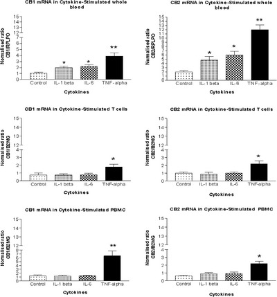 CB1 and CB2 mRNA expression in whole blood, T cells and PBMC. Cytokine stimulation was with IL‐6 [100 ng mL−1], IL‐1β [100 ng mL−1] and TNF‐α [25 ng mL−1] mRNA levels for CB1 (left) and CB2 (right) (arbitrary units) are presented as mean ± SEM normalized to RPLPO in whole blood and to B2MG in T cells and PBMC. t‐test for independent samples: * = P < 0.05; **= P < 0.025; n = 4–5 experiments per condition.