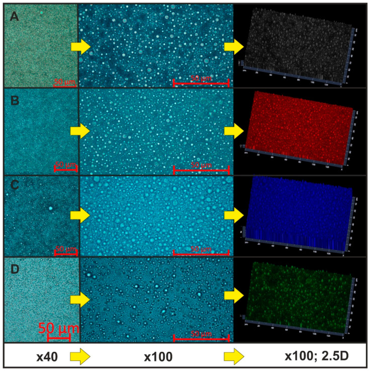 Microscopic images of the emulsion droplets (magnification, ×40, ×100, and ×100; 2.5D image): (A) S02, (B) S08, (C) S13, (D) S14 (the images were adjusted as the best fit and colored with software).