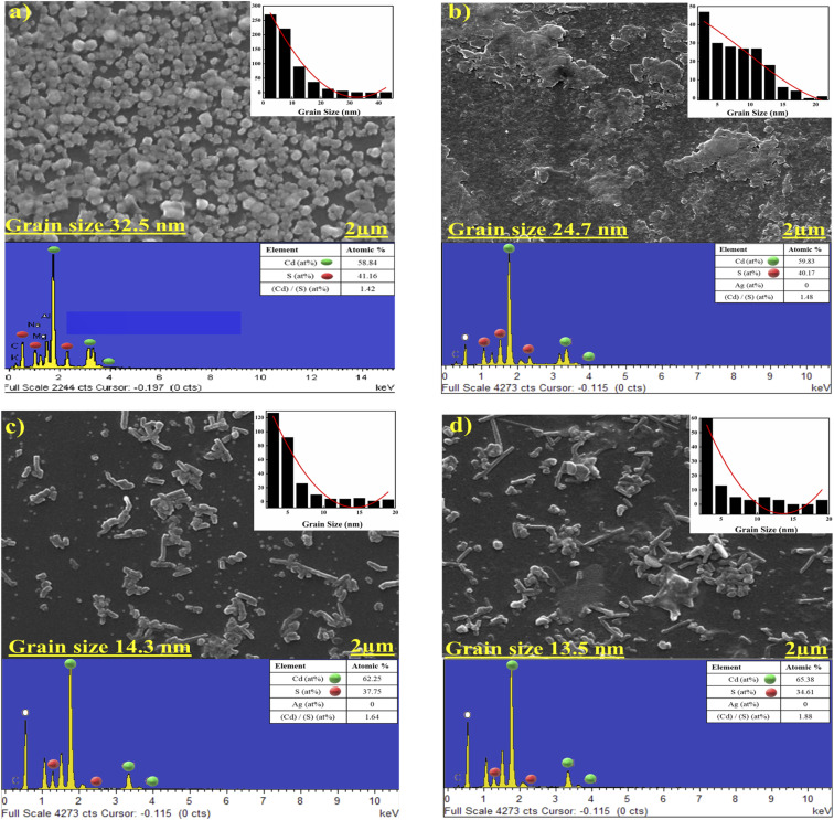 FESEM images with EDX spectra as; (a, b, c and d) for basic CdS, CdS:Ag 1%, CdS:Ag 5%, and CdS:Ag 10%.
