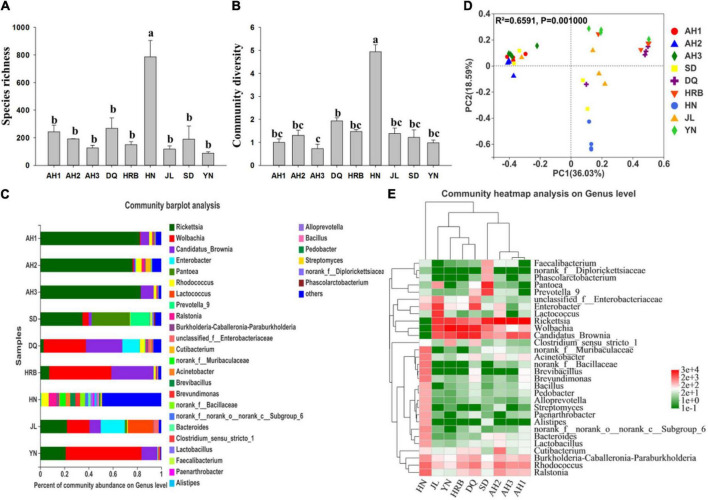 Bacterial community composition within and among nine geographic populations of the hemp flea beetle P. attenuata in China. (A) Histogram of species richness (number of OTUs). (B) Histogram of community diversity measured by Shannon index. Letters above each population indicate significant differences (one-way ANOVA, Tukey test, P < 0.05, see Table 3) in the mean values. (C) Relative abundance of bacterial genera in different populations. (D) Principal components analysis (PCoA) plots of bacterial communities based on the Bray-Curtis distance. Each symbol or color represents a sample. The significant differences in beta diversities were analyzed using Adonis analysis with 999 permutations, P < 0.05. (E) Heatmap showing the relative abundance of top thirty bacterial genera. Hierarchical cluster analysis was based on the Bray-Curtis distance with average method.
