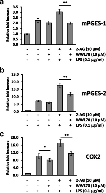 WWL70 suppressed microsomal PGESs and COX-2 mRNA expression. qRT-PCR of mPGES-1 (a), mPGES-2 (b), or COX-2 (c) mRNA isolated from BV2 cells treated with WWL70 (10 μM) for 15 min, before addition of 2-AG (10 μM) for 15 min, and then LPS (0.1 μg/ml) for 18 h. Data are represented as relative expression to control condition after normalization with GAPDH (mean ± SD, n = 4). Single and double asterisks denote p < 0.05 and 0.01, respectively