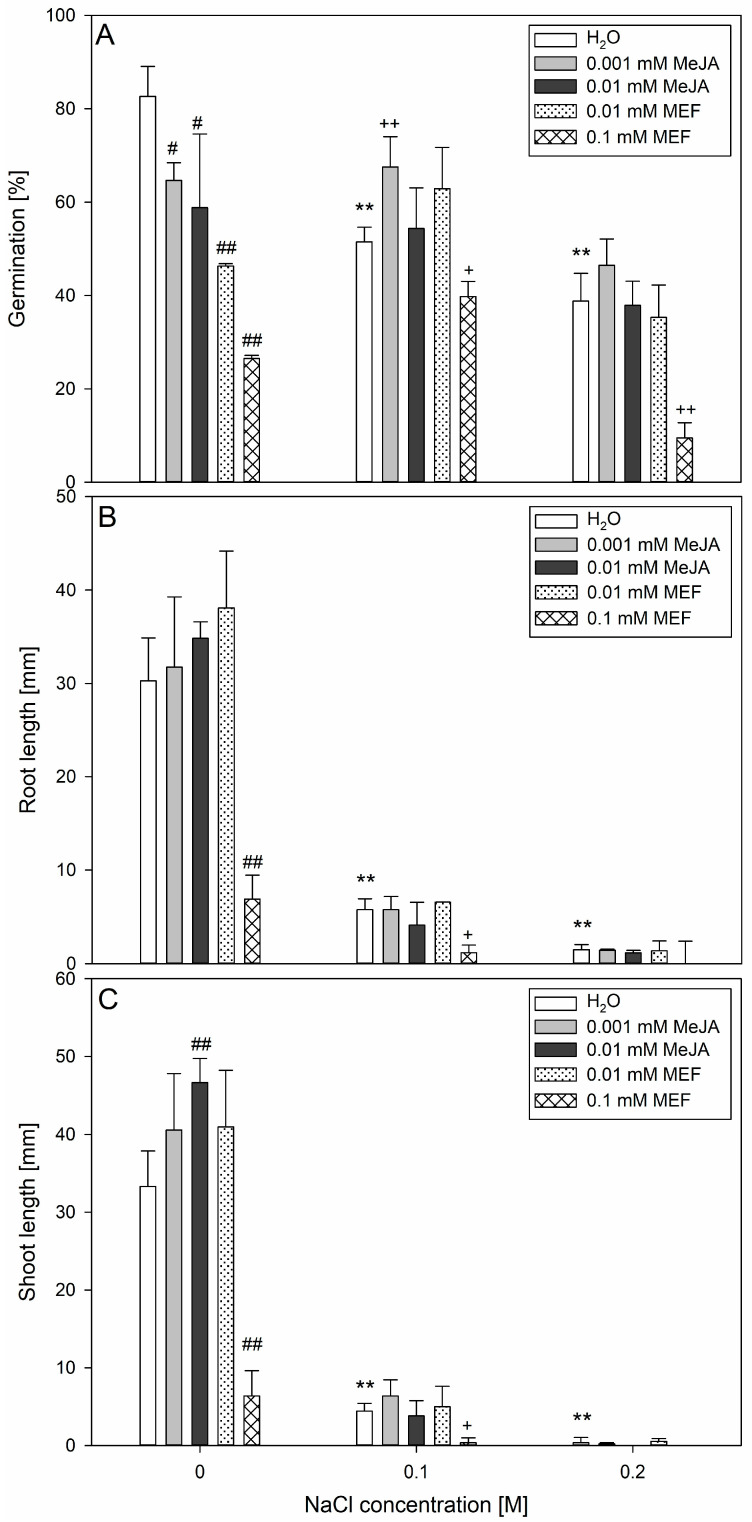 Effects of methyl jasmonate (MeJA) and mefenamic acid (MEF) on hemp seed germination and early seedling growth under salinity. Germination percentage (A), root (B), and shoot (C) length were measured on day 7 of the germination assay. Treatments included different concentrations of NaCl (0.1 M and 0.2 M), MeJA (0.001 mM and 0.01 mM), MEF (0.01 mM and 0.1 mM), and their combinations. Values represent means ± SD. Statistical significance: NaCl vs. H2O ** p ≤ 0.01; MeJA/MEF vs. H2O ## p ≤ 0.01, # p ≤ 0.05; MeJA/MEF + NaCl vs. NaCl ++ p ≤ 0.01, + p ≤ 0.05.