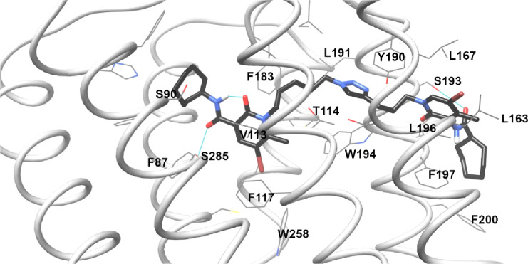 Results of FD-22a docking in the 6PT0 structure. Hydrogen bonds are reported as cyan lines.