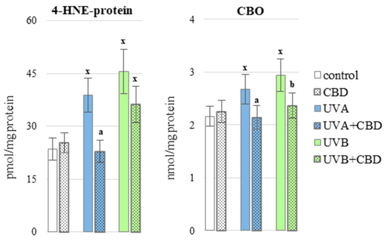 The level of 4-HNE-protein adducts and protein carbonyl groups (CBO) in the blood plasma of nude rats in the following groups: control; treated with CBD (every 12 h) for 4 weeks; irradiated with UVA (every 48 h) for 4 weeks; irradiated with UVA (every 48 h) and treated with CBD (every 12 h) for 4 weeks; irradiated with UVB (every 48 h) for 4 weeks; irradiated with UVB (every 48 h) and treated with CBD (every 12 h) for 4 weeks. The mean values for six rats in each group ± SD are shown: x—differences vs. control group, p < 0.05; a—differences vs. UVA treated group, p < 0.05; b—differences vs. UVB treated group, p < 0.05.