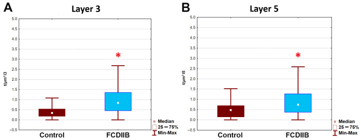 Boxplots show a statistical comparison of the number of CB1R-immunopositive perisomatic terminals per unit area (μm2) of soma surface in control (claret box) and FCDIIB (blue box) subjects in layer 3 (A) and layer 5 (B) by Mann–Whitney U test. Both layers show significant differences in the two measured populations. Layer 3: Mann–Whitney U = 5798.00, N1 = 152, N2 = 161, p = 8.64 × 10−16; Layer 5: Mann–Whitney U = 5842, N1 = 136, N2 = 135, p = 2.29 × 10−7 (A,B). * p < 0.05 The increase is higher in layer 3 than in layer 5. N1: the number of cells counted in control samples; N2: the number of cells counted in FCDIIB samples.