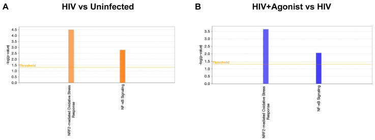 Deregulated canonical pathways. (A) Canonical pathways of Nrf2-mediated oxidative stress response and NF-κB signaling for the comparison of HIV vs. Uninfected. (B) Canonical pathways of Nrf2-mediated oxidative stress response and NF-κB signaling for the comparison of HIV + Agonist vs. HIV. Orange color represents a predicted activated pathway (positive z-score). Blue color represents a predicted inhibited pathway (negative z-score). This figure was obtained from IPA.