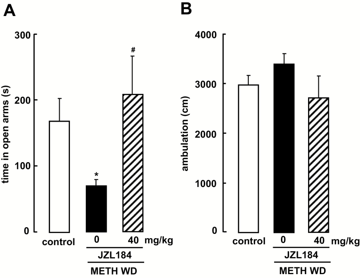 Effect of JZL184 on anxiety-like behavior in methamphetamine (METH) self-administered rats upon withdrawal. Anxiety-like behavior upon withdrawal after METH self-administration in the elevated plus-maze test. Each bar represents the mean (±SEM) total time spent on the open arms (A) and ambulation in the 10-minute test session (B) (n=8–11). *P<.05 for the control vs METH WD rats. #P<.05 for the METH WD vs JZL184 rats.