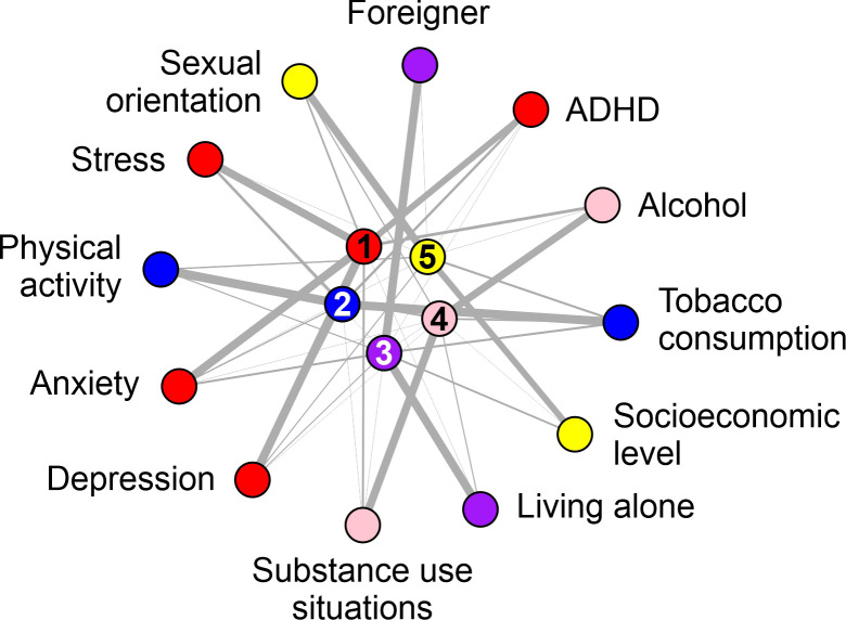Graphical representation of the principal component analysis. The data visualization from the factor analysis (principal components) was constructed using the igraph library in the R programming language. Each component is indicated by a number (1 to 5) and one color (red, blue purple, red, and yellow). The variables with the highest weights inside each component are colored in the same color.