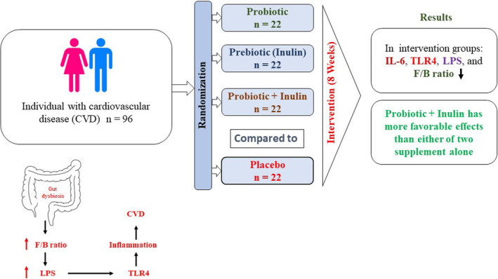 In an 8‐week intervention of individuals with coronary artery diseases (CAD), probiotic and prebiotic (inulin) supplementation improved the eCB receptors, metabolic endotoxemia as indexed by LPS, and inflammatory biomarkers. We also have found that inulin plus probiotics improved the eCB receptors, and inflammatory biomarkers more than either of the two supplementations given alone. Abbreviation: Endocannabinoid (CB2) receptors, lipopolysaccharides (LPS), trimethylamine N‐oxide (TMAO), malondialdehyde (MDA). Graphical abstract is designed with Inkscape software.