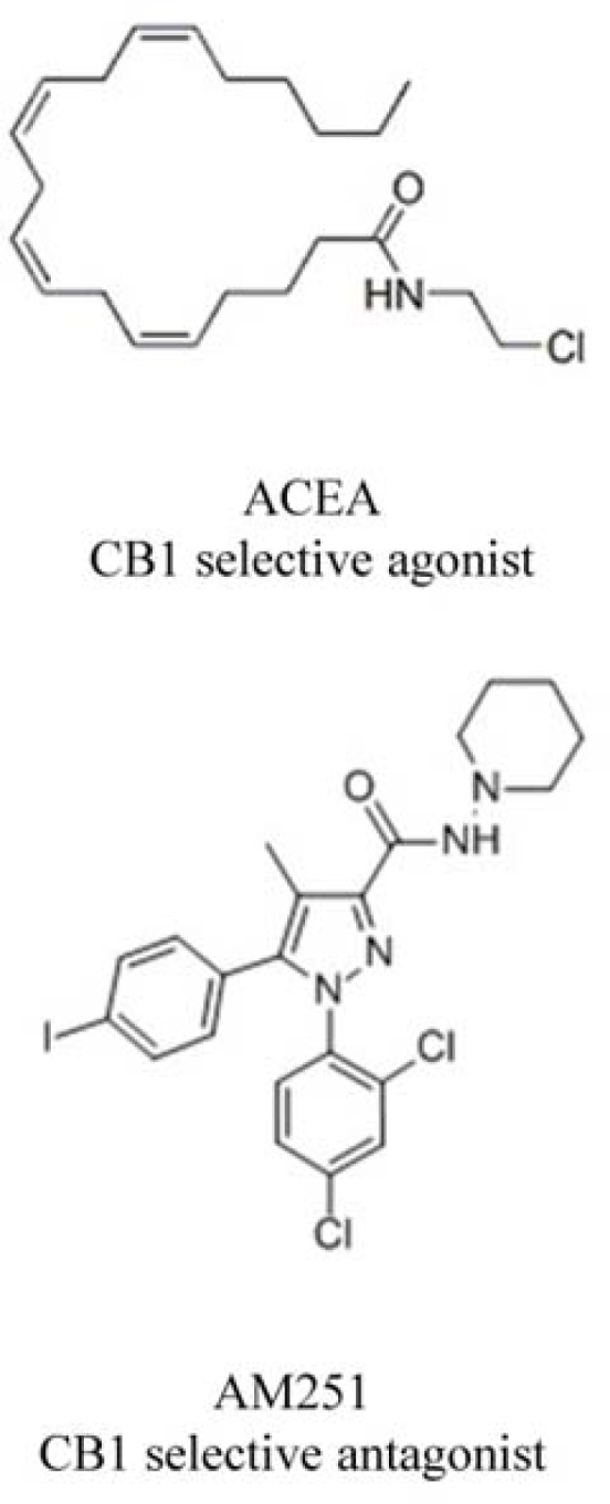 Chemical structure of ligands used in this study