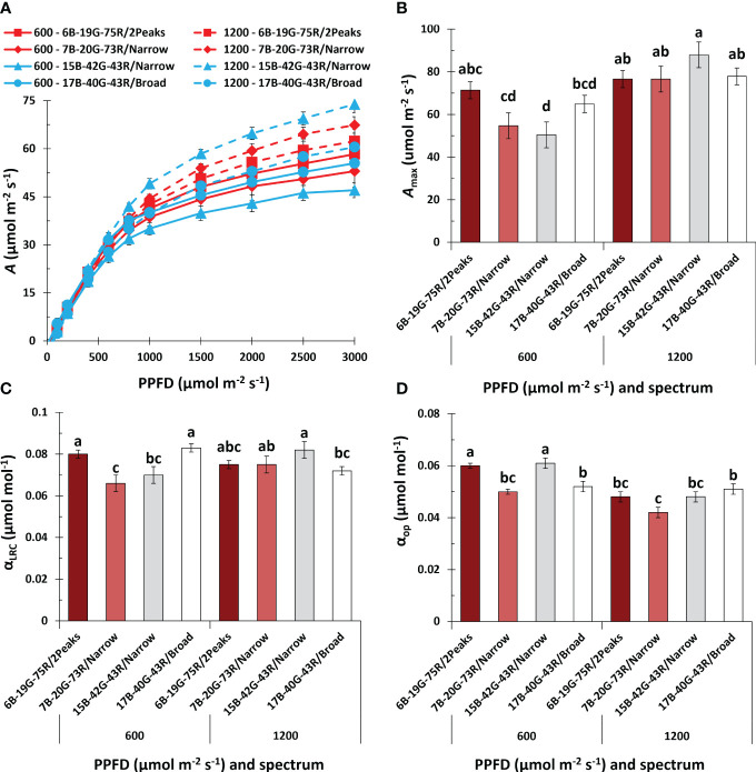 Effects of spectrum and PPFD on leaf net photosynthesis rate (A) in the fourth week of the short-day phase of Cannabis sativa. (A) light response curve of A; (B) maximum A at saturating PPFD (A max); (C) quantum yield of A based on the light response curve (αLRC); (D) quantum yield of operational A under the treatment conditions (αop). Data was averaged from six plants within each plot, resulting in a single value for each plot. Bars or symbols indicate means of two blocks (n = 2), with the exception of 7B-20G-73R/Narrow and 17B-40G-43R/Broad in panel (B, C) which only consisted of one block. Error bars represent standard error of means (SEM). Different letters indicate significant differences between treatments (Fisher’s unprotected LSD test, P = 0.10) Conditions within the fluorometer cuvette were set to 27°C, 60% RH, a fan speed of 10000 rpm, a flow rate of 400 µmol s-1, 2000 (LRC) and 1000 (OP) ppm [CO2], and spectrum of 20B:80R (LRC).