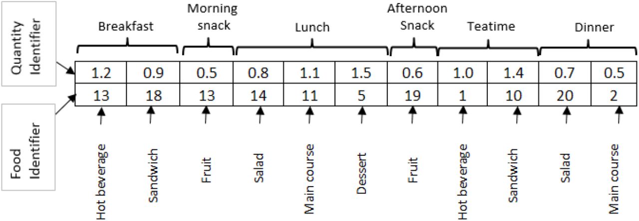 Representation of an individual in the decision space, planning for one day.