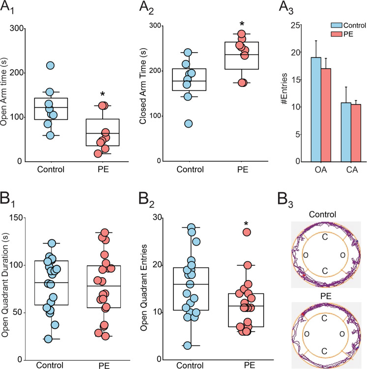 Prenatal ethanol exposure causes anxiety phenotype in adult rats.A PE increases anxiety-like behavior in the elevated plus maze test. A1 Average duration of stay in open arms of control () and PE rats () (N = 8 from 4 litters, p < 0.05). A2 Average duration of stay in closed arms (N = 8 from 4 litters, p < 0.05). A3 Summary graph of the average entries of control and PE rats to open and closed arms. B PE increases anxiety-like behavior in the zero-maze test. B1 Average duration of stay in open quadrants of control and PE rats (N = 20 from 5 litters, p > 0.05). B2 In the elevated zero maze test, PE rats made fewer entries into the open quadrants (N = 20 from 5 litters, p < 0.05). B3 Representative tracking plots obtained from control (upper panel) and PE (lower panel) rats in the zero-maze test, which shows that compared with the control rat, the PE rat travelled mostly on quadrants that they were initially placed on, reluctant to venture out to the farther quadrants.*: p < 0.05, independent-samples t-tests, N number of rats.