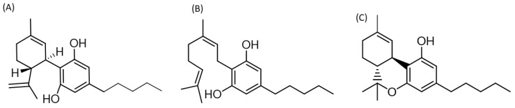 Two-dimensional structure of cannabis derivatives with possible therapeutic effects for PCC. (A) Cannabidiol (1′R,2′R)-5′-methyl-4-pentyl-2′-(prop-1-en-2-yl)-1′,2′,3′,4′-tetrahydro-[1,1′-biphenyl]-2,6-diol, (B) Cannabigerol (Z)-2-(3,7-dimethylocta-2,6-dien-1-yl)-5-pentylbenzene-1,3-diol, (C) Delta-9-tetrahidrocannabinol b(6aR,10aR)-6,6,9-trimethyl-3-pentyl-6a,7,8,10a-tetrahydro-6H-benzo[c]chromen-1-ol. Two-dimensional structures were built using the ChemDoodle 2D server [https://www.chemdoodle.com/] (accessed on 27 February 2024).