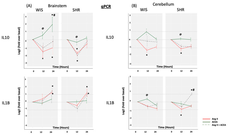 Effect of Ang II and/or ACEA on IL10 and IL1β mRNA expression. Primary (A) brainstem and (B) cerebellar astrocytes, from SHR and Wistar rats, were profiled for IL10 and IL1β mRNA, in response to Ang II and/or ACEA for 12 and 24 h, by employing qPCR. The data are represented as a line graph, with the change in cytokine expression levels shown on the Y-axes, and the different treatment time points shown on the X-axes. Different colors are employed for the three different treatments. Data are expressed as the mean ±SEM. * Log2FC ≥ 1 or ≤−1 and p < 0.05 for treated versus untreated, # p <0.05 for SHR versus Wistar rat astrocytes, @ p < 0.05 for ACEA versus ACEA + Ang II (co-treatment). Log2FC, Log 2 Fold change for treated versus untreated; Ang II—Angiotensin II.