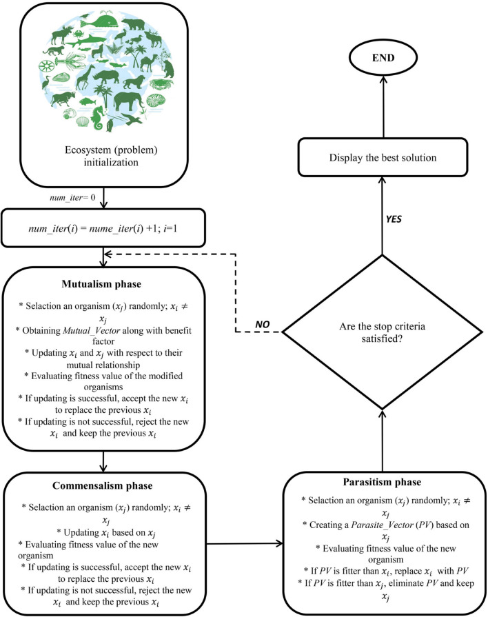 A schematic representation of symbiotic organisms search (SOS) algorithm.