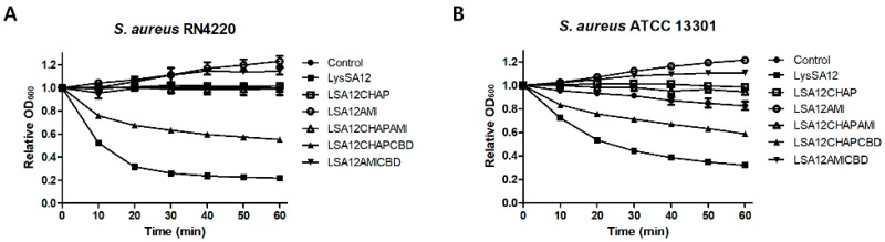 Activity comparison of LysSA12 and its derivate domains against S. aureus RN4220 and S. aureus 13301. Equimolar concentrations (0.3 μM) of the purified enzymes expressed from the full length and truncated proteins were added to a 1 mL suspension of (A) S. aureus RN4220 and (B) S. aureus ATCC 13301.