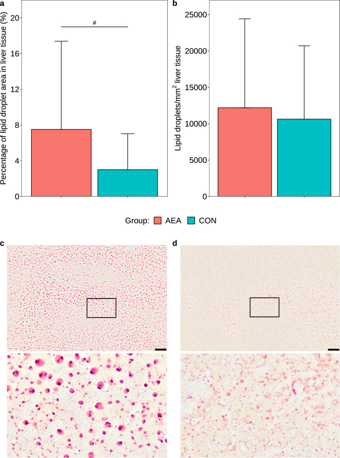 Percentage of the lipid droplet area of the total area in the liver tissue (a), and number of lipid droplets per mm2 in liver tissue (b) of cows treated intraperitoneally with N-arachidonoylethanolamide (AEA, n = 9) or NaCl (CON, n = 10) postpartum. Data are presented as means ± SD; # P < 0.1, * P < 0.05. Oil red O staining of liver sections from the AEA (c), and the CON group (d). The black framed areas from the top images are shown enlarged at the bottom. Scale bar represents 50 µm.