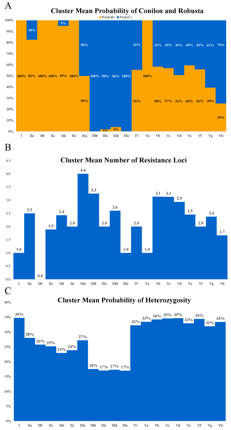 Mean probability of polymorphism origin classified as Conilon or Robusta per group (A). Mean probability of heterozygosity per group (B). Mean number of rust resistance genes per group (C).