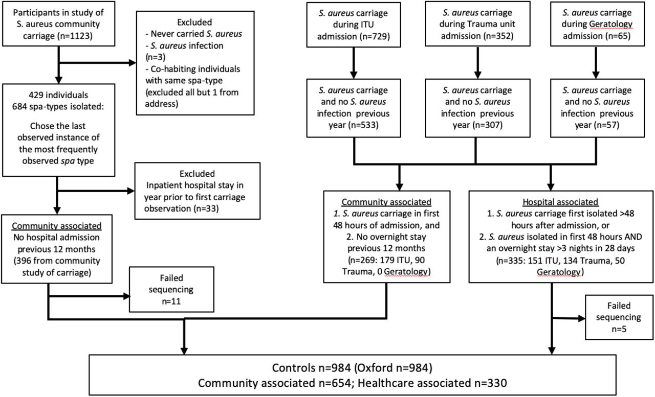 Flow diagram of controls screened for inclusion in the study