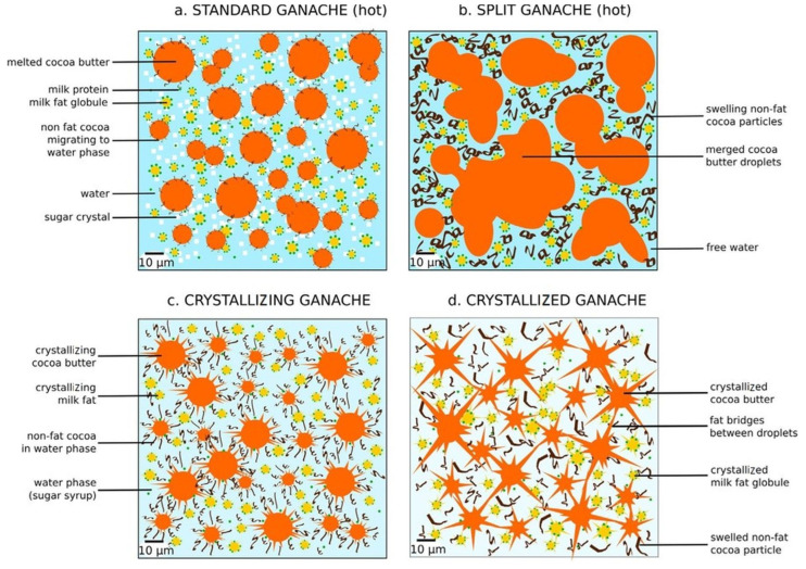 Diagrams of ganache emulsion in different forms with specific partition of substances after emulsification, as illustrated by parts (a–d): (a) hot standard ganache a few minutes after emulsification; (b) split ganache a few minutes after emulsification; (c) standard ganache during crystallization several hours after emulsification (stored at 16 °C); (d) standard ganache after crystallization when stored for several days at 16 °C. Reproduced with permission from Ref. [18]. Copyright 2018 Elsevier.