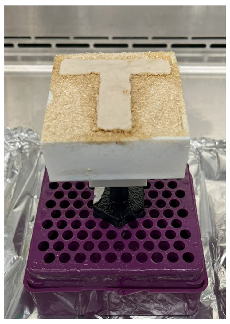 A printed sample generated by binder jetting 3D printing.
