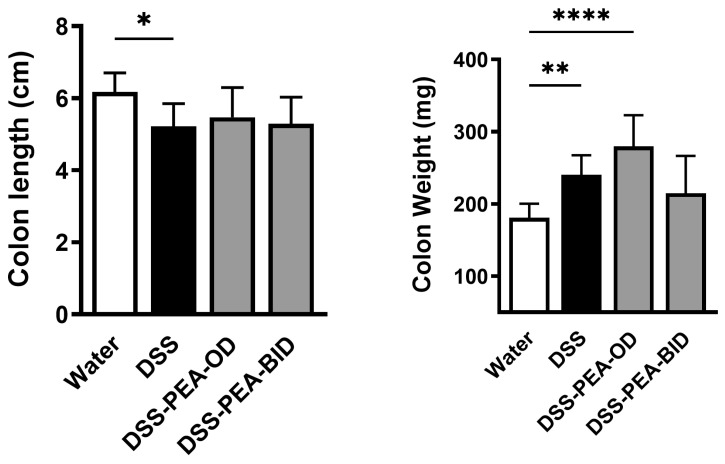PEA administration partially reverses DSS-induced decrease in colon length. Colon length and colon weight from mice given either water or DSS 4% alone or DSS 4% treated with either PEA OD or BID. Data are represented as means ± SEMs; N = 5–6. * p < 0.05, ** p < 0.01, and **** p < 0.0001 using one-way ANOVA with a post hoc analysis.