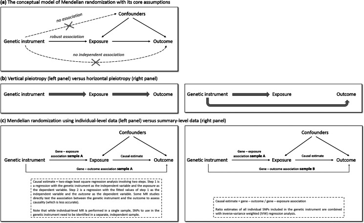 The main principles of Mendelian randomization: (a) the conceptual model indicating the three core assumptions, (b) an illustration of vertical pleiotropy, that which causal inference is based on in a Mendelian randomization analysis, versus horizontal pleiotropy, which biases a Mendelian randomization analysis, and (c) an illustration of the framework and methods of Mendelian randomization using individual-level data versus summary-level data.
