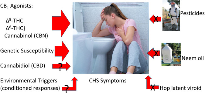 Triggers to cannabinoid hyperemesis syndrome (Center image licensed from https://123rf.com, also utilized at (CReDO Science, 2024), neem oil photo by EBR, pesticide spray photo by Kay Frey, with permission).