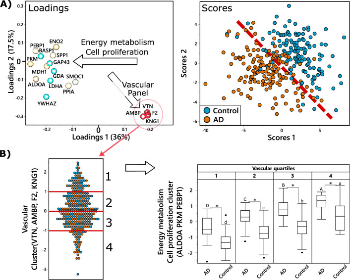 Vascular panel proteins modify relation between energy metabolism-related proteins and AD. (A) Partial least square discriminant analysis (PLS-DA) of AD (n = 151) vs control (n = 142), utilizing CSF proteins. Treatment group discrimination is shown by the SCORES (right panel). The dashed line was added to help show the plain of separation between the two groups. with a plane of discrimination indicated by dashed read line, while metabolites weighting in group discrimination are shown by the LOADINGS (left panel). Proteins in the loading plot are colored based on functional panels, same as in in Figs. S2–S5. To facilitate interpretation, arrows on the loading plot indicate directionality, arrow labels indicate the function of discriminating proteins. Analysis was performed with all measured proteins, but only those with variable importance in projection (VIP) ≥ 1 are displayed for clarity. (B) Illustration of the relationship between vascular panel proteins (VTN, F2, AMBP, KNG1) and key proteins involved in energy metabolism and cell proliferation (ALDOA, PKM, PEBP1). The panel on the left shows the distribution of the vascular proteins composite score among the subjects, with red lines showing quartiles. The panel on the right shows box and whiskers plots of energy metabolism protein composite score in AD cases and controls, in subjects corresponding to each quartile of the composite score of the vascular panel. Difference in means for each vascular quartile was tested separately for AD cases and healthy controls, using ANOVA with Tukey post-test, with significant differences indicated by capital letters for AD cases and lower letter for the control group. Additionally, differences between AD cases and controls within each vascular quartile was tested using a t-test and significant differences are indicated by an asterisk.