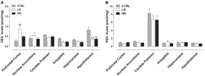 Endocannabinoid-like compounds levels: data are presented as mean ± SEM (n = 6 rats per group). (A) OEA: both LR and HR groups showed a decrease in the hypothalamus compared to CTRL group (one-way ANOVA: **P < 0.01, Newman–Keuls test vs. CTRL group). LR group showed an increase in the Prefrontal Cortex compared to CTRL group (one-way ANOVA: **P < 0.01, Newman–Keuls test vs. CTRL group). (B) No changes in the levels of PEA were found between all three experimental groups.