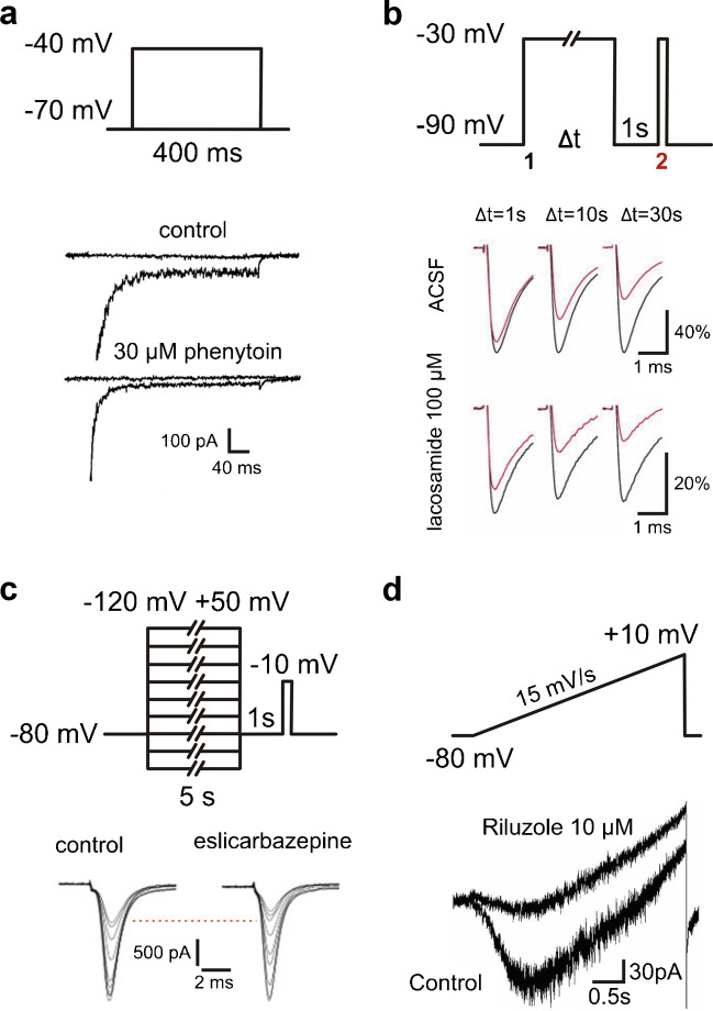 Different voltage clamp protocols for persistent sodium currents and exemplary drug effects. a Voltage step protocol (top) with exemplary current traces showing the effect of 30 µM phenytoin (bottom; adapted with permission from Chao and Alzheimer [42]). b Voltage step protocol for entry into slow inactivation with pulses of variable durations (top) with exemplary current traces showing the effect of 100 µM lacosamide (bottom; adapted with permission from Holtkamp et al. [92]). c Voltage step protocol for slow steady state inactivation (top) with exemplary current traces showing the effect of 250 µM eslicarbazepine (bottom; adapted with permission from Hebeisen et al. [87]). d Voltage ramp protocol (top) with current traces showing the effect of 10 µM riluzole (bottom; adapted with permission from Nakamura et al. [163])
