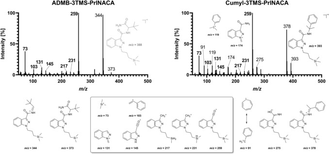 GC-EI-MS spectra of the herbal blend (left, ADMB-3TMS-PrINACA) and the ash (right, Cumyl-3TMS-PrINACA). The tentative fragments shown in the box are identical for both SCRAs. Fragments displayed left and right of the box, or in the respective MS spectrum, were detected for that specific SCRA exclusively