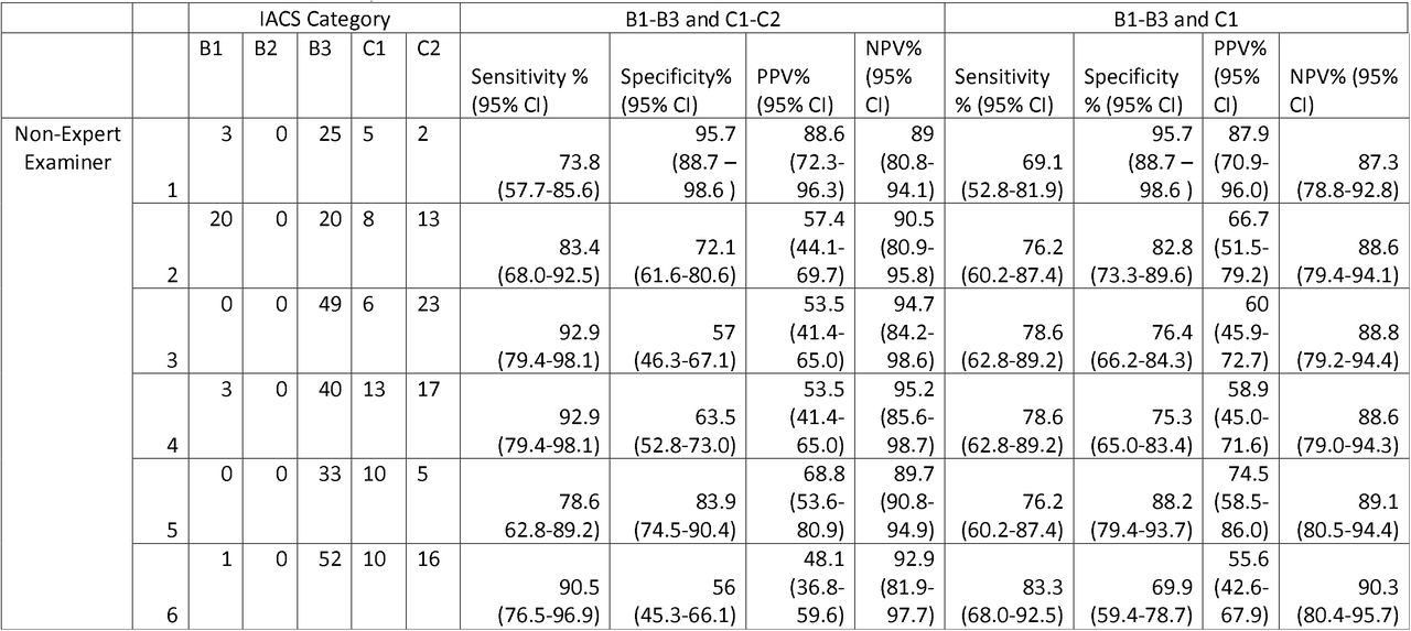 Performance of Non-expert examiners