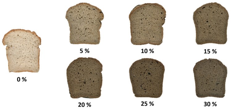 Cross-section of bread samples enriched with hemp cake meal.