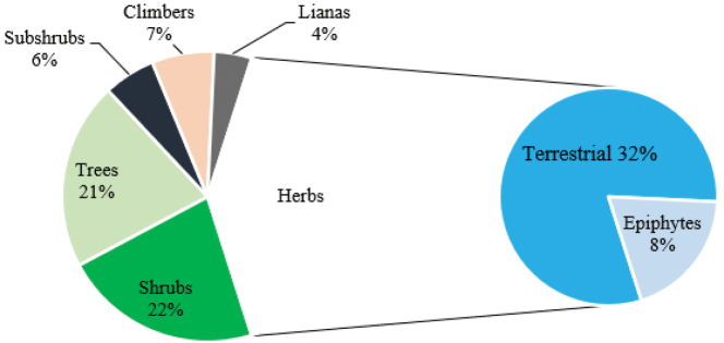Growth form of vascular plants in Taita Hills.