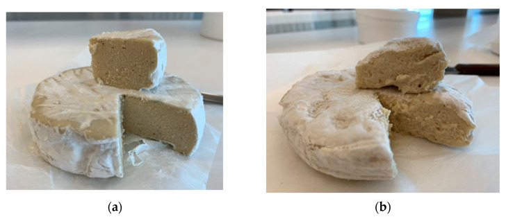 The impact of transglutaminase on cheese analogues prepared from cashews: (a) product with the addition of transglutaminase; (b) product without enzyme addition. Cashew mass was fermented with L. lactis ssp. lactis, S. salivarius, as well as G. candidum culture.