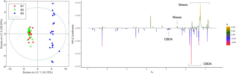 Score and loading factor plots obtained from the OPLS-DA between organic extracts of healthy and infected crops of chemovar B. The metabolites that differentiate the two groups are annotated in the loading factor plots. The R2Y and Q2Y coefficients for the model were 0.98 and 0.91, respectively, and the ROC curve had an AUC value of 1.00 (see Figures S13 , S14 ).