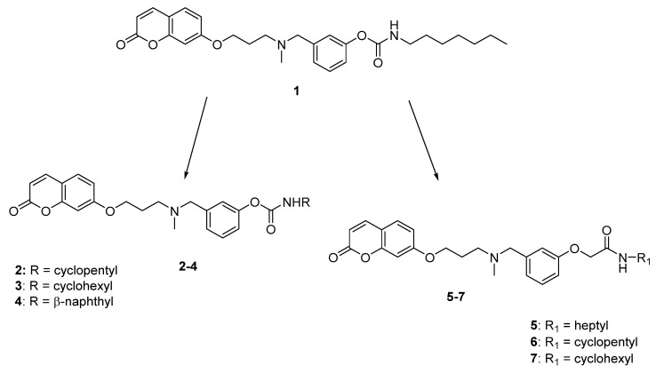 Structure of lead compound 1 and design strategies for the new compounds.