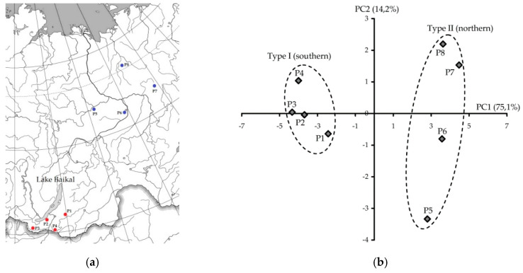 (a) Location of Galeopsis bifida populations. (b) Results of principal component analysis (PCA) used the content of eighteen compounds in G. bifida leaves from eight Siberian populations. P1–P8—number of G. bifida population.