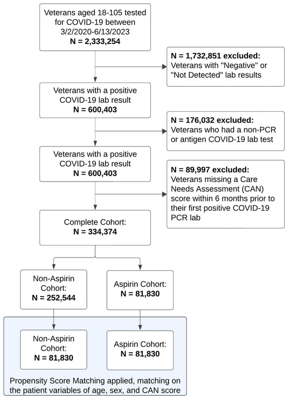 Patient Flowchart