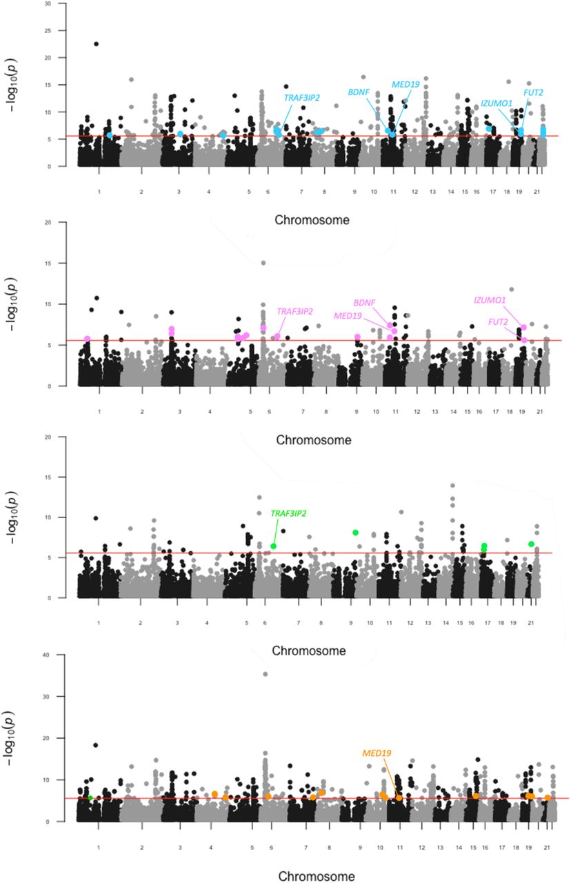 Pairwise genic meta-analyses of schizophrenia and SD.Manhattan plot for each meta-analysis which displays the −log10-transformed P value for association for genes which were tagged by at least one SNP in the respective GWAS. The red line represents the Bonferroni threshold for multiple-testing correction (P < 2.7 × 10−6). Genes highlighted on each plot were not Bonferroni significant in the individual GWAS, with overlapping genes across meta-analyses labelled. a. SZand AD, b. SZ and CUD c. SZ and ND. d. SZ and OD.